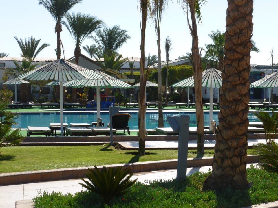 Der Pool Ghazala Beach
