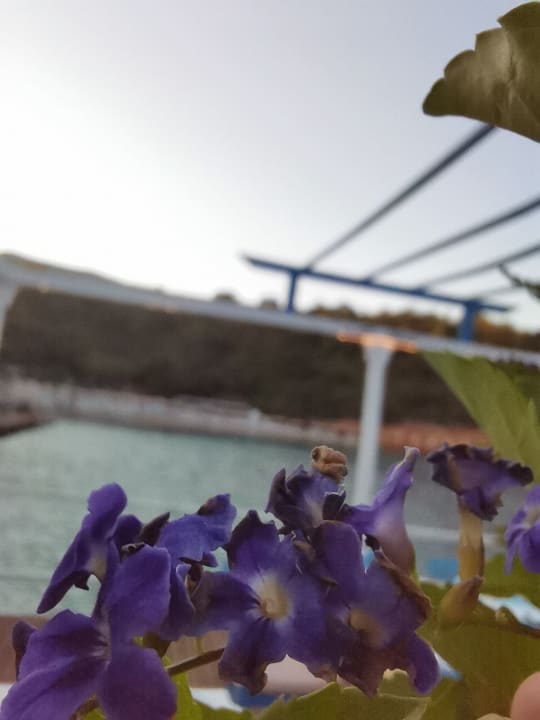 Garten Bodrum Park Resort