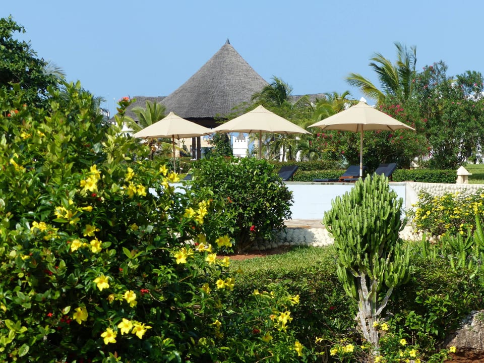 Ein einziger Traum... Royal Zanzibar Beach Resort