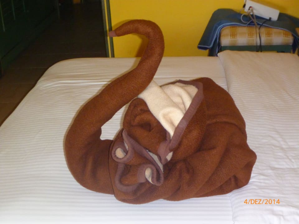 Die Wolldecke mußte auch mal .... Giftun Azur Resort