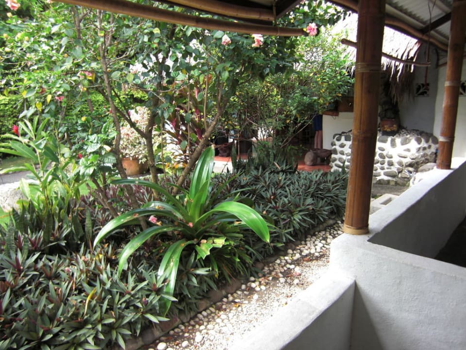 Bewuchs vor meinen Zimmer Hotel El Dorado Beach Resort