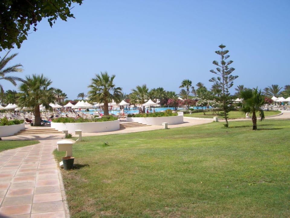 Vom Hotel zum Pool Djerba Plaza Thalasso & Spa