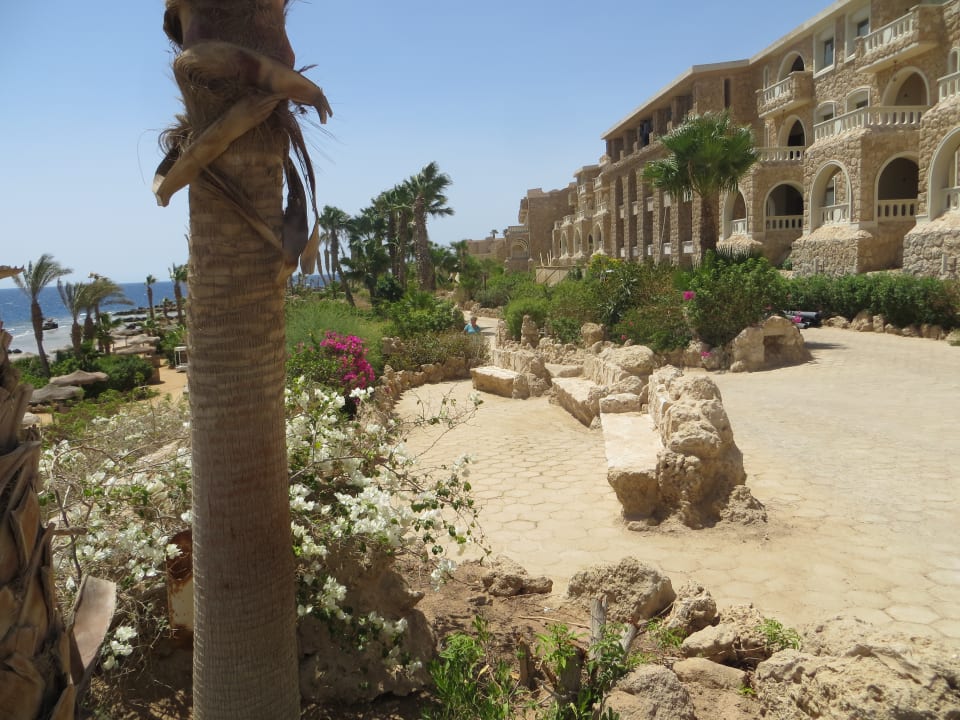 Gartenanlage Pickalbatros Citadel Resort