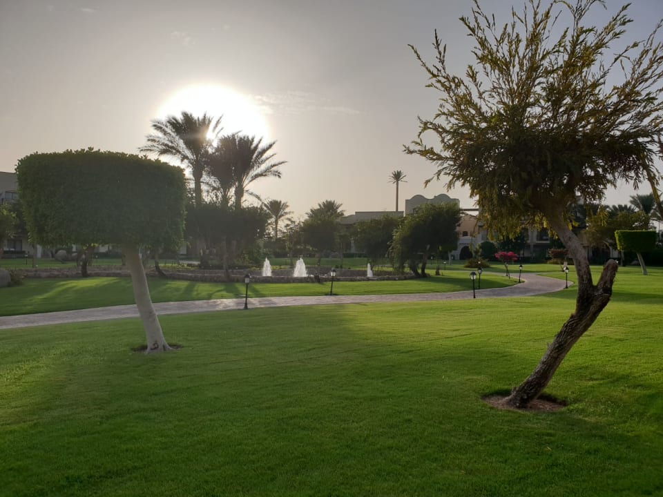 Gartenanlage JAZ Belvedere Resort