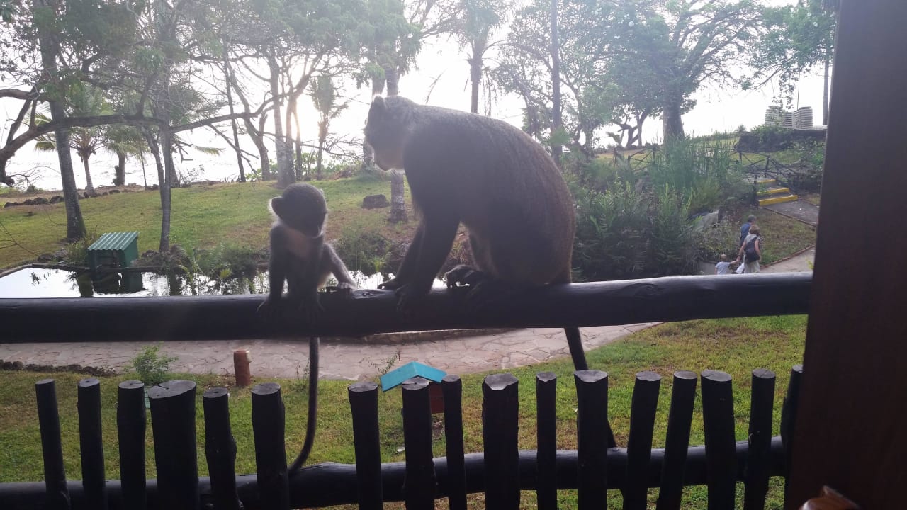 Hotel Baobab Beach Resort Baobab Beach Resort & Spa