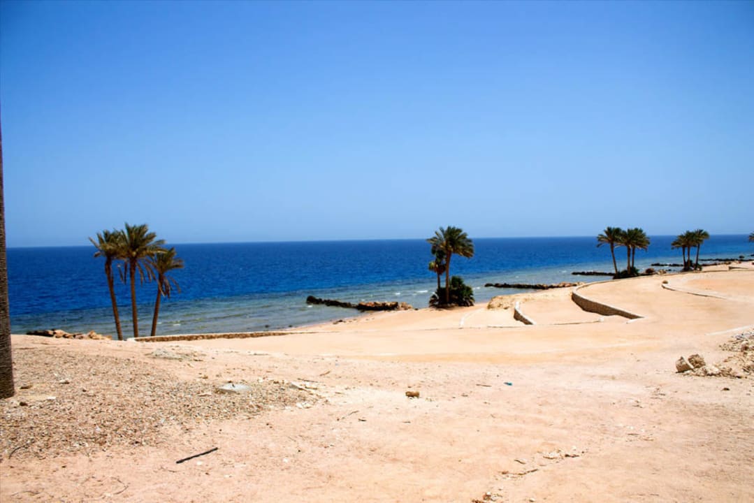 Neben dem Hotelstrand - entspanntes Spazieren Pickalbatros Citadel Resort