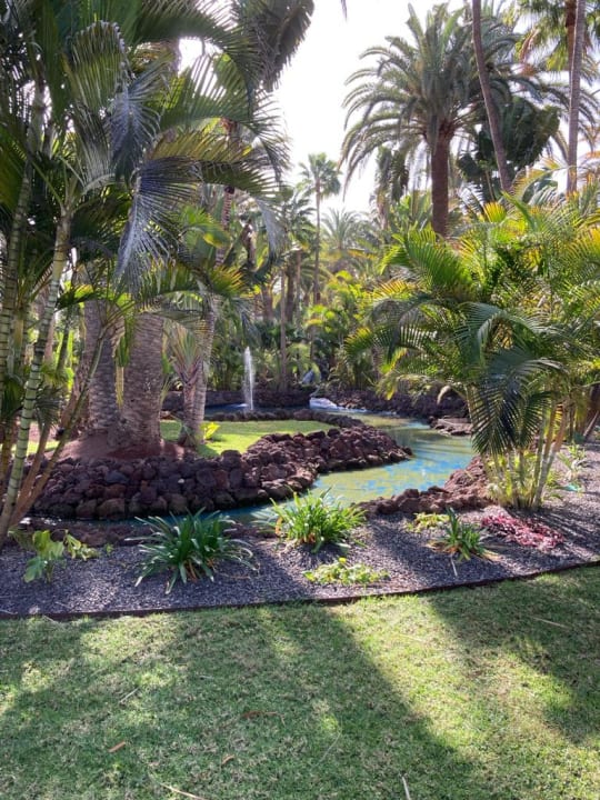 Außenansicht Hotel Riu Palace Oasis