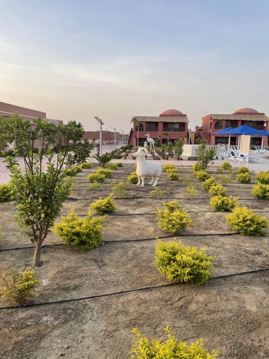 Gartenanlage Pickalbatros Villaggio Resort - Portofino