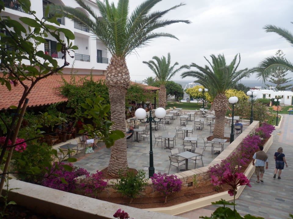 Abendbar TUI SUNEO Chrissi Amoudia