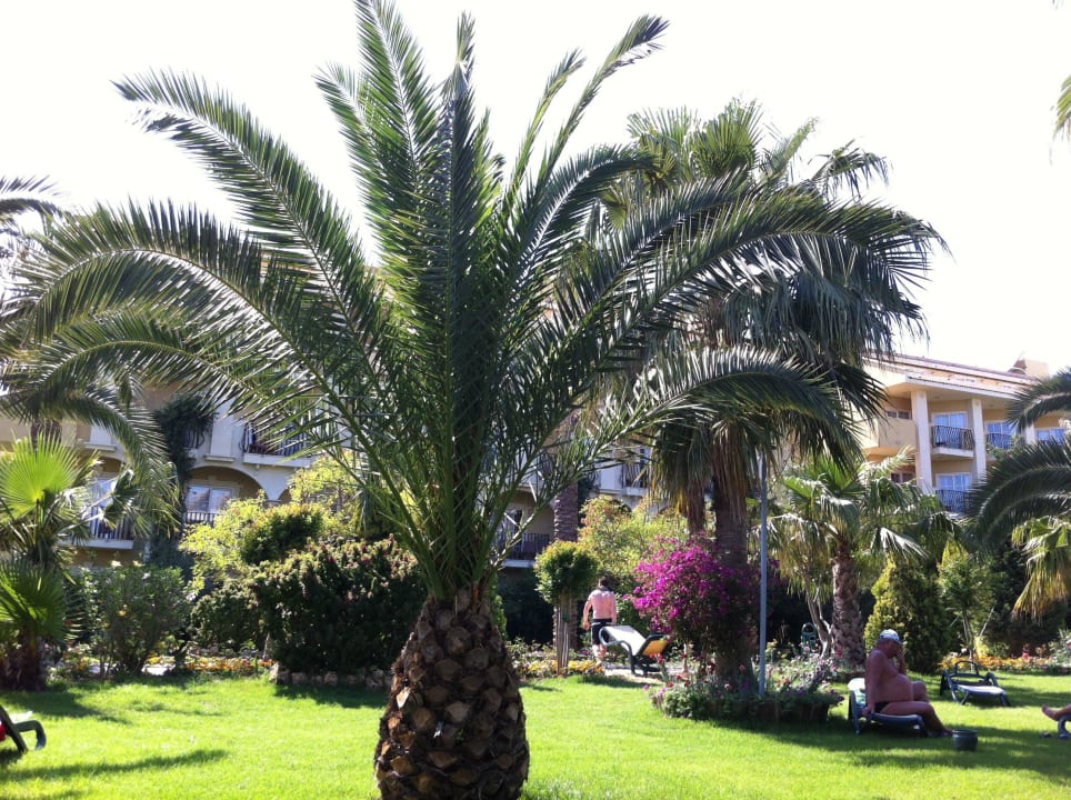 Liegewiese Pool Belek Beach Resort Hotel