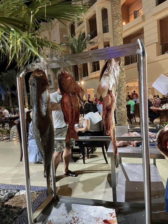 Gastro Tropitel Sahl Hasheesh