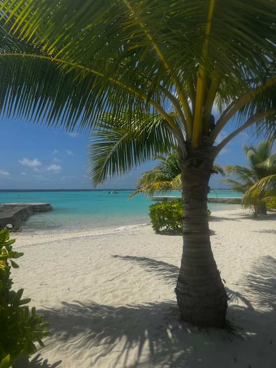 Strand Adaaran Select Meedhupparu Island Resort - Premium All Inclusive