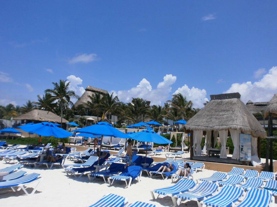 Massage The Reef Playacar