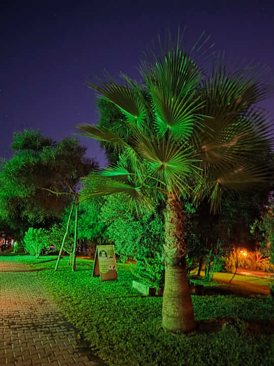 Gartenanlage Hotel Süral Resort