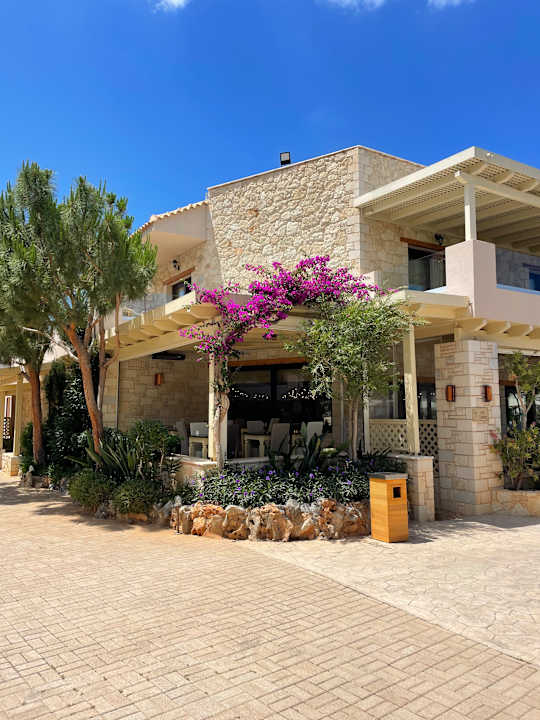 Gartenanlage Cactus Royal