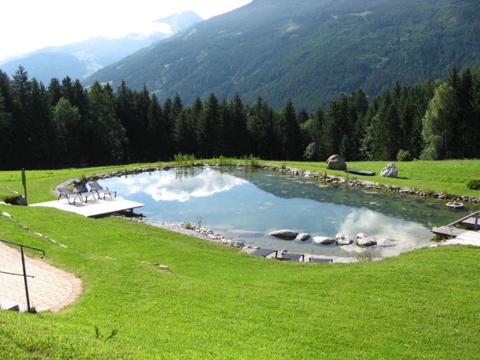 Naturschwimmteich Gut Sonnberghof