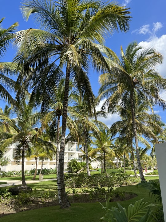 Gartenanlage Secrets La Romana Resort & Spa - Adult Only