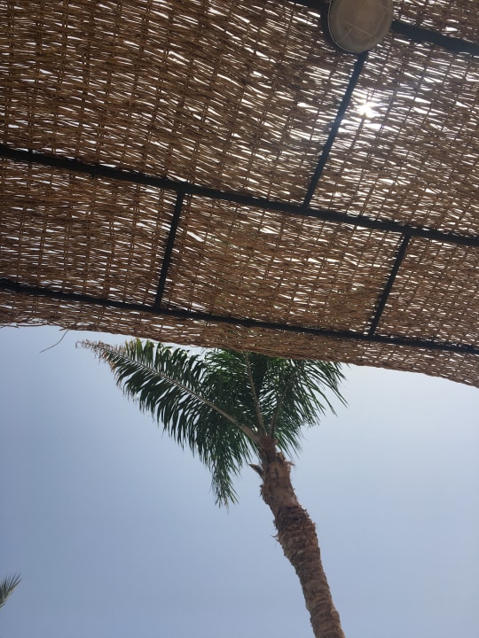 Pool Jaz Dar EL Madina