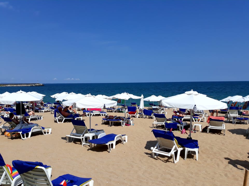 Strand Sentido Marea