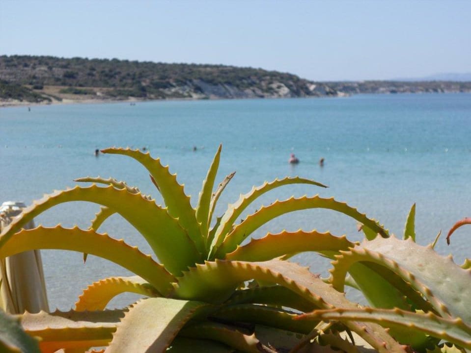 Hotelstrand Hotel Babaylon