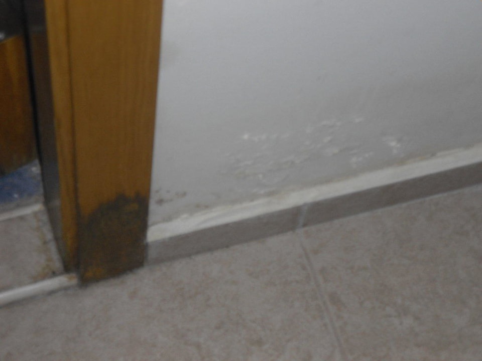 Schimmel  Hotel Atlas