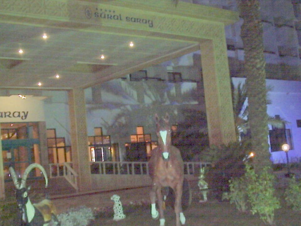 Hoteleingang Abends Süral Saray Hotel