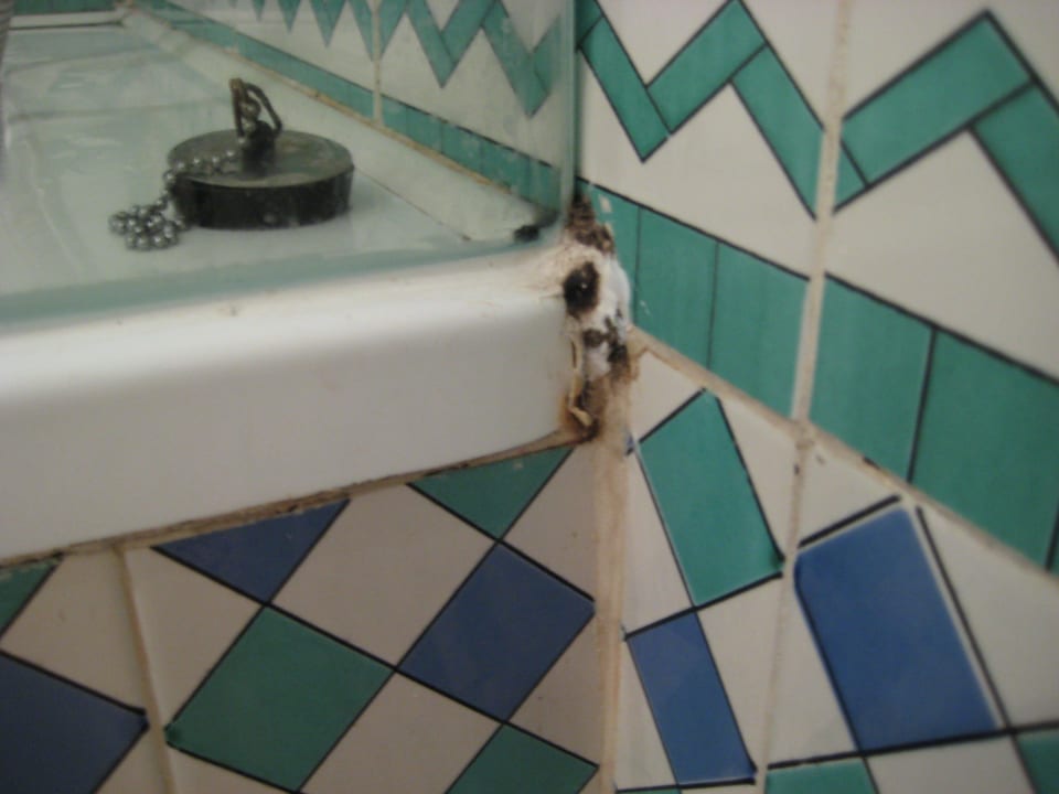 Schimmel im Bad Hotel Marhaba Club