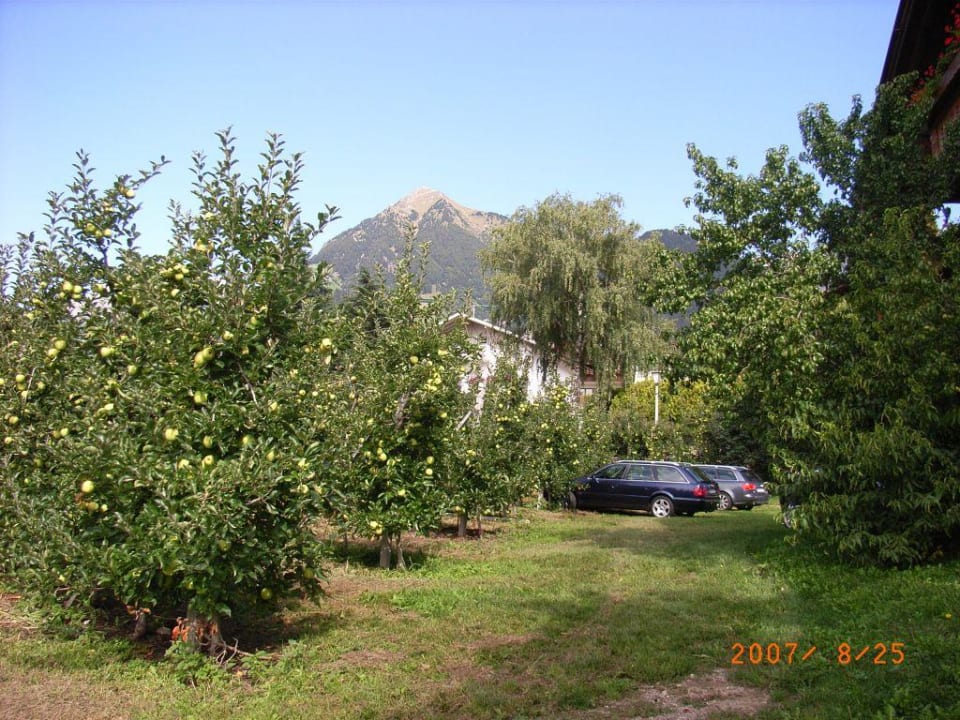 Plantage neben dem Haus Hotel Landsitz Stroblhof