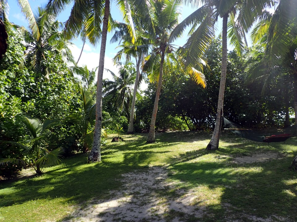 Gartenanlage Hotel Fafa Island Resort