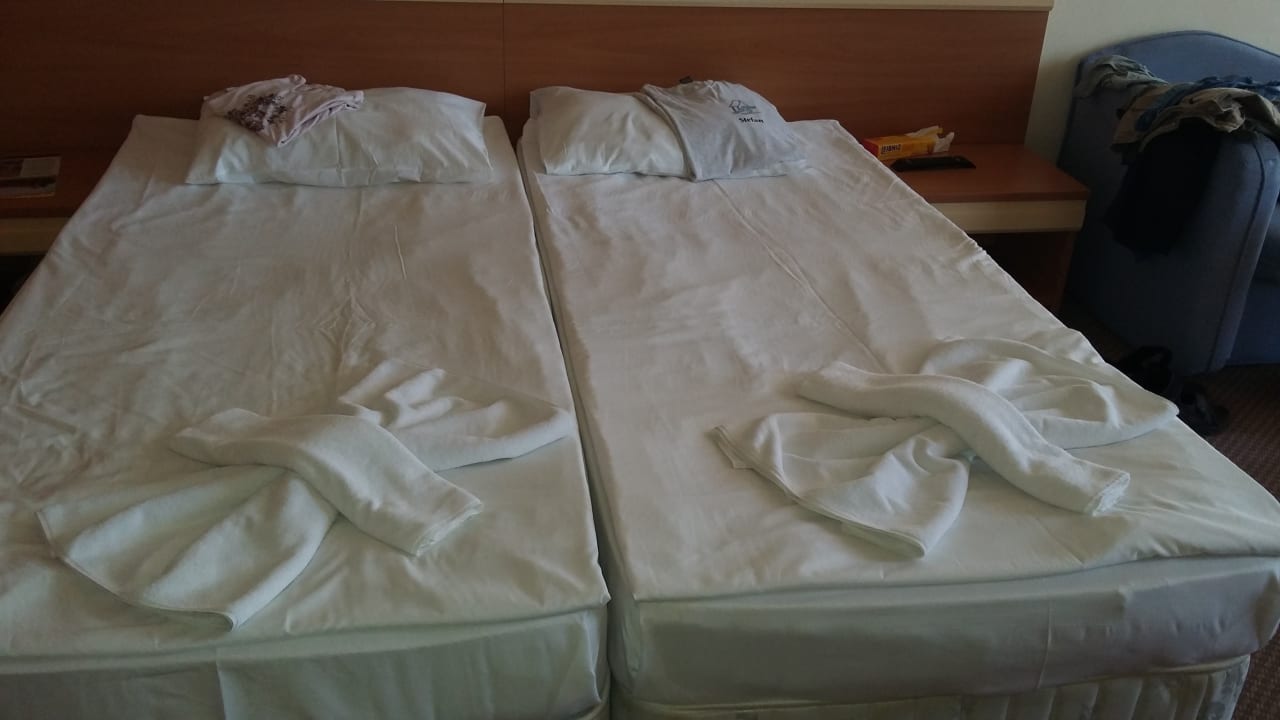 Zimmer DAS Club Hotel Sunny Beach