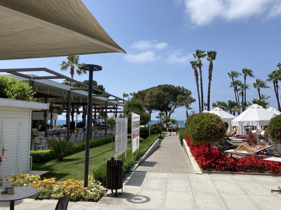 Gartenanlage Acanthus Cennet Barut Collection