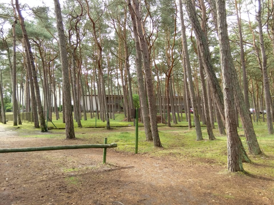 Blick vom Wald auf das Nebenhaus Marena Wellness & Spa