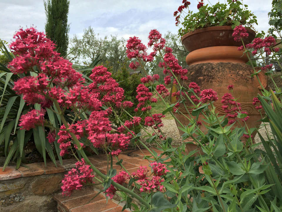 Gartenanlage Ventena Vecchia antico frantoio