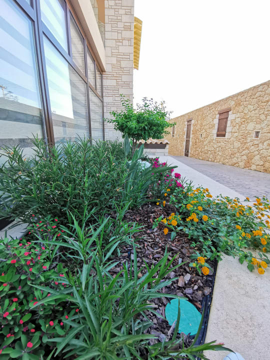 Gartenanlage Cactus Royal