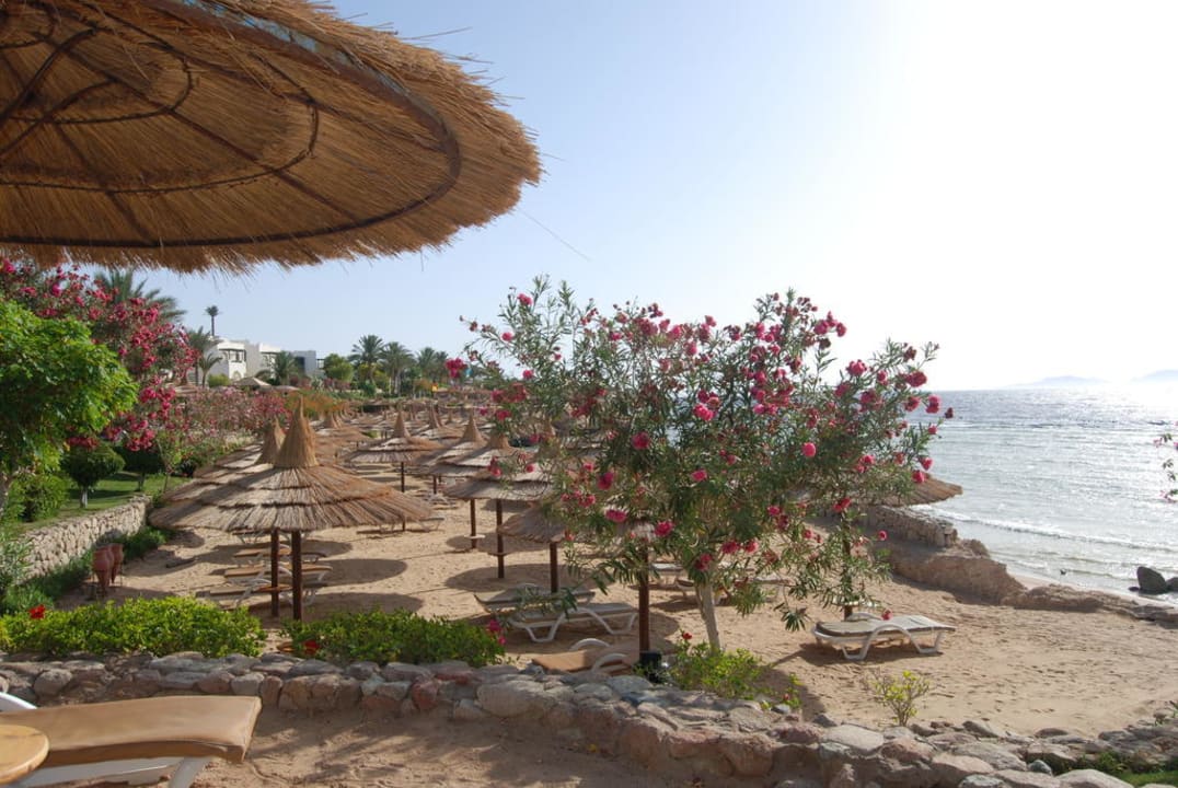 Plaza Pickalbatros Royal Grand Resort - Sharm El Sheikh
