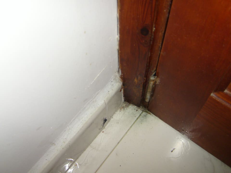 Dreck überall Bahía de Alcúdia Hotel & Spa