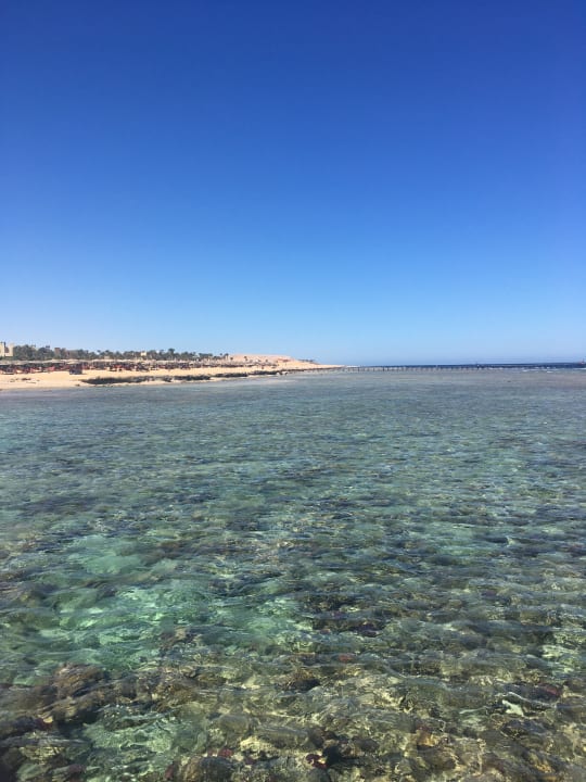 Strand Pickalbatros Palace Hotel-Port Ghalib