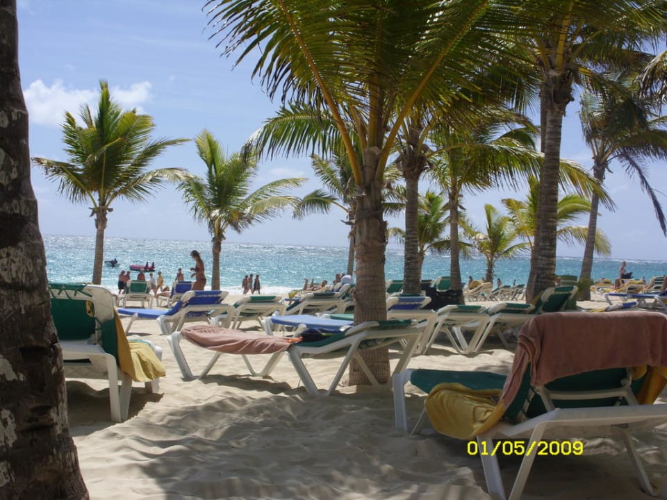 Palmen als Sonnenschutz Hotel Riu Bambu