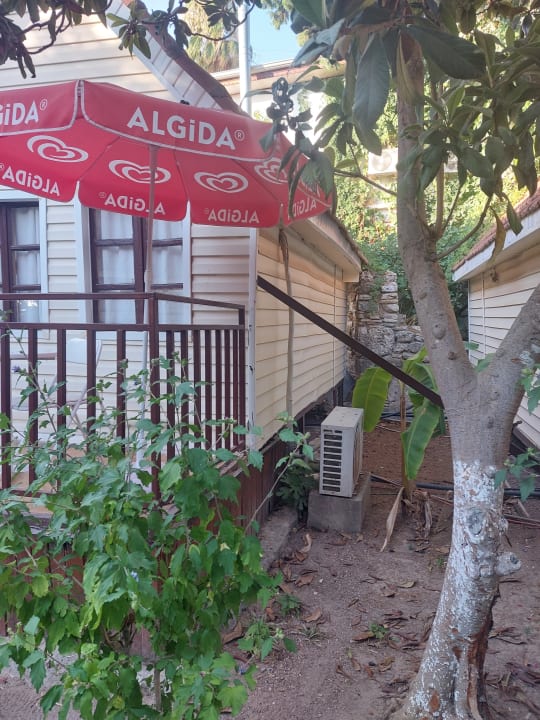 Zimmer Clover Magic Nova Beach