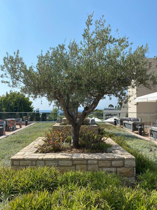 Gartenanlage Blue Lagoon Village