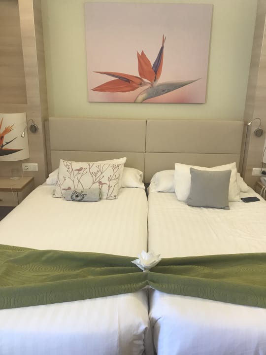 Zimmer Bull Costa Canaria & Spa - Adults only