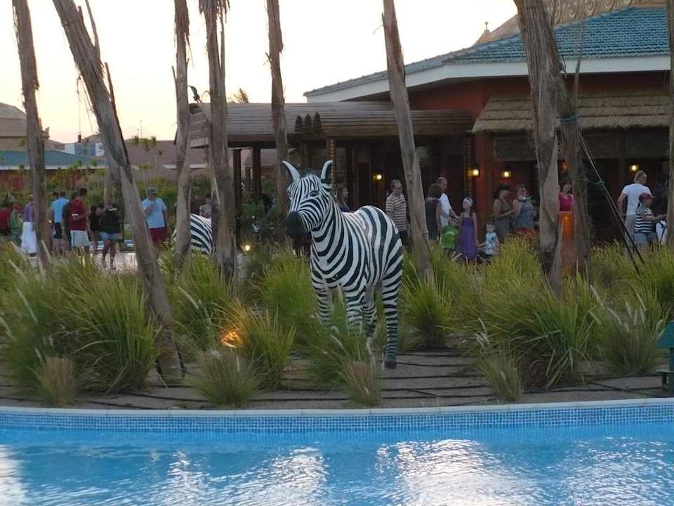 Basen Pickalbatros Jungle Aqua Park Resort - Neverland Hurghada