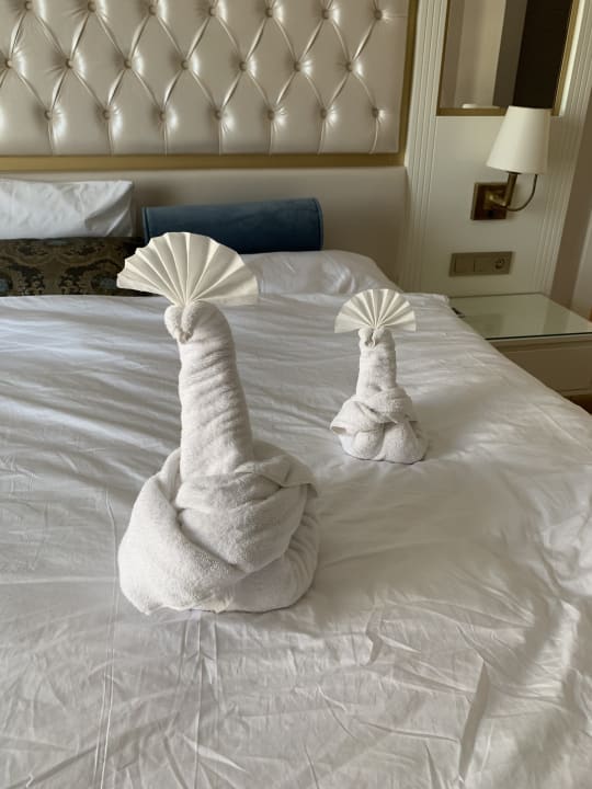 Zimmer Haydarpasha Palace