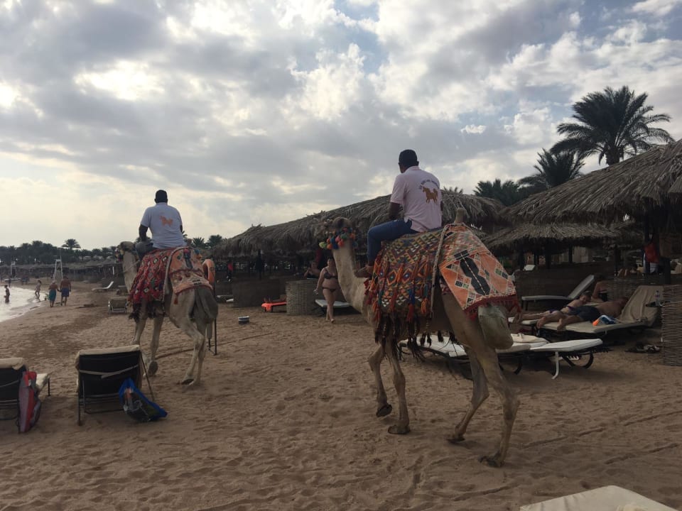 Strand Hotel JAZ Makadi Star & Spa