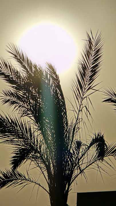 Ausblick JAZ Elite Asteria