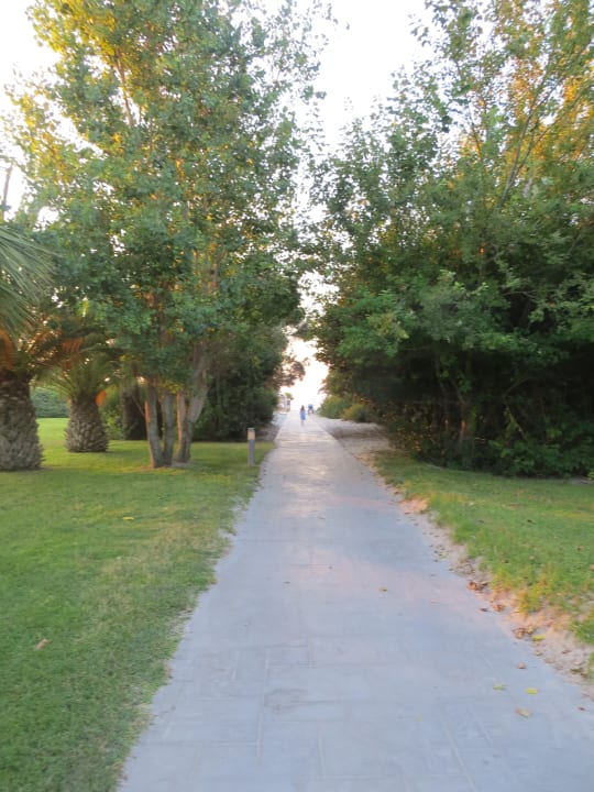 Gartenanlage Caravia Beach Hotel