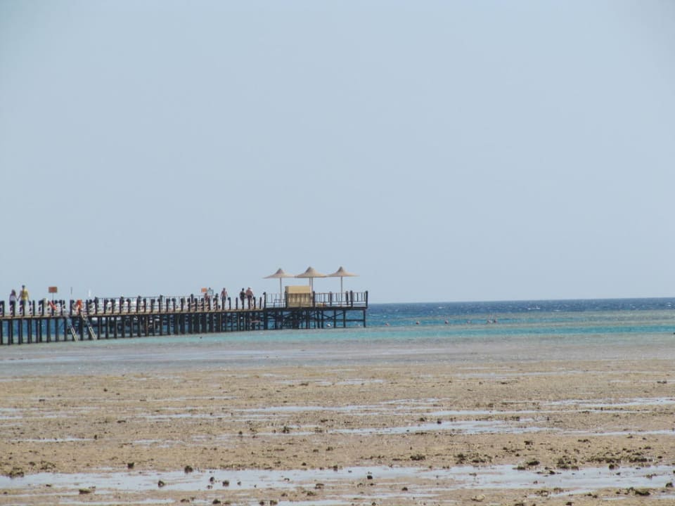 Der Blick auf das Meer Stella Beach Resort & Spa Makadi Bay