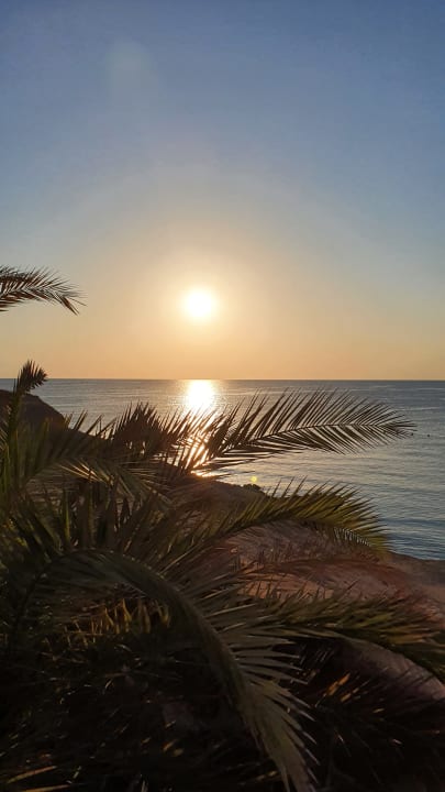 Ausblick Steigenberger Coraya Beach - Adults only