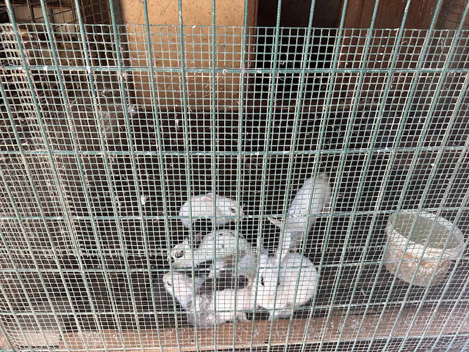 Sport & Freizeit Justiniano Park Conti