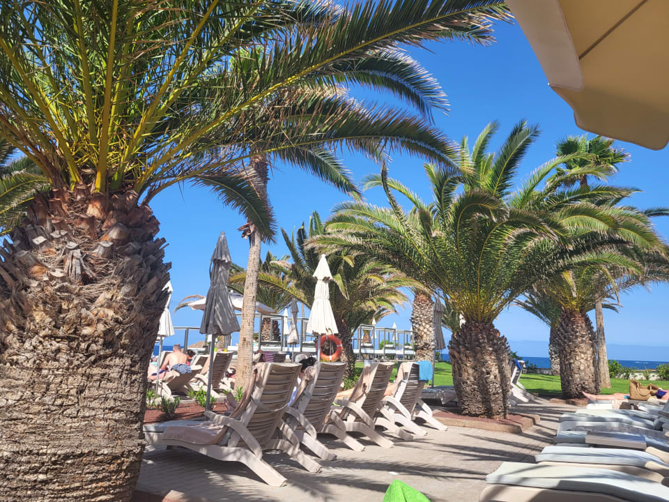 Pool Hotel Riu Palace Tenerife